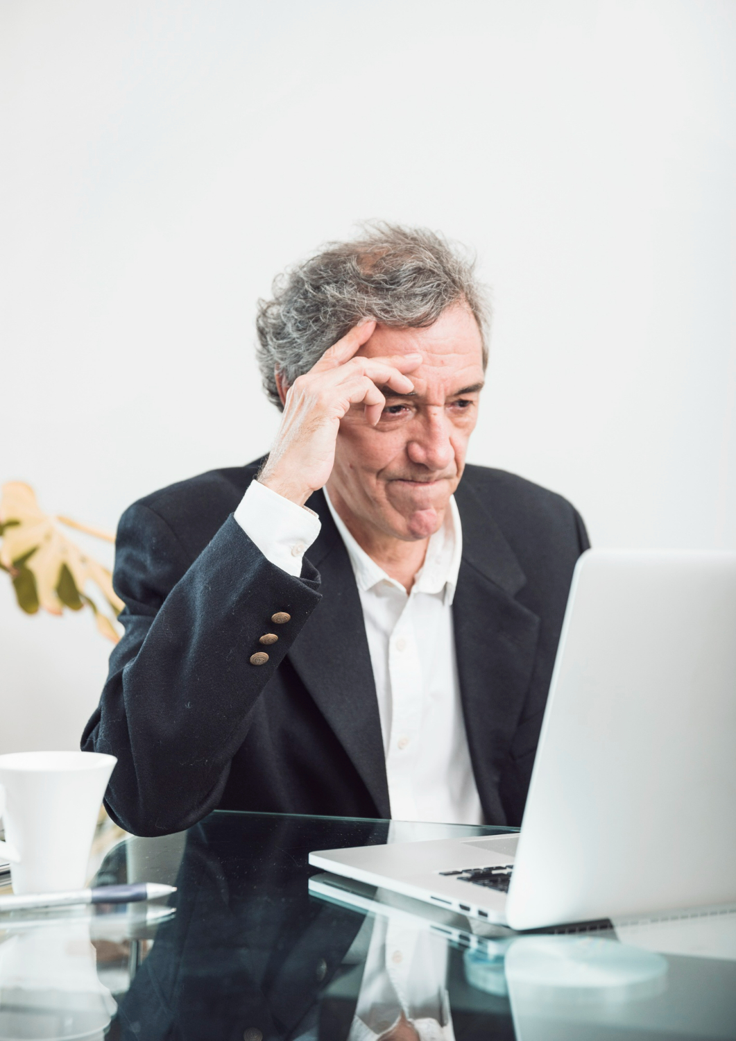 Career and business guidance consultation